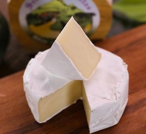 imagem do produto Queijo Camembert Serra das Antas | 230g