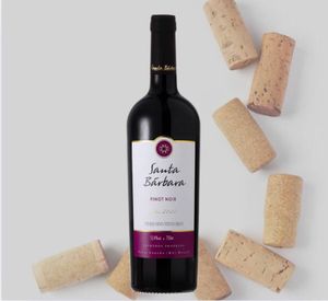 imagem do produto Vinho fino Pinot Noir | Vinícola Santa Bárbara