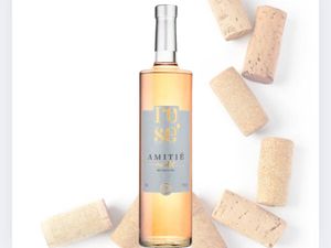 imagem do produto Vinho Rosé Merlot | Vinícola Amitié
