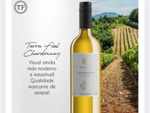 imagem do produto Vinho Fino Branco Chardonnay | Vinícola Terra Fiel