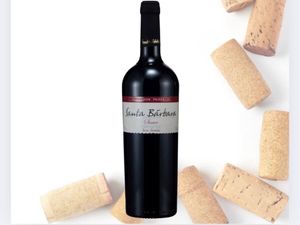 imagem do produto Vinho Cabernet Sauvignon Suave | Vinícola Santa Bárbara