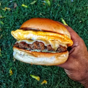 imagem do produto Start