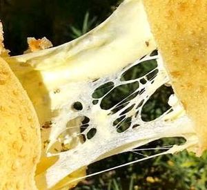 imagem do produto Queijo com alho frito