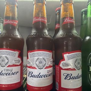 imagem do produto Budweiser 