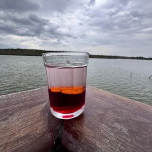 imagem do produto Sangue de Cobra 