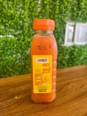 imagem do produto SUCO DE ACEROLA 300ML
