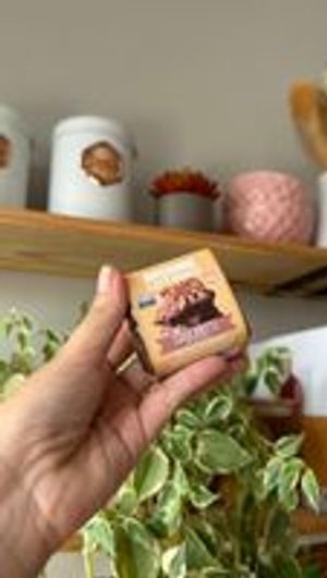 imagem do produto LEITE NINHO