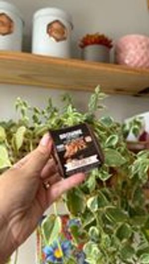 imagem do produto LEITE NINHO COM NUTELLA