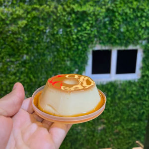 imagem do produto Pudim