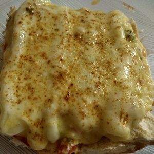 imagem do produto DOG GRATINADO