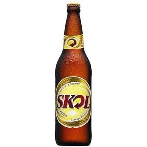 imagem do produto SKOL GARRAFA 600ML