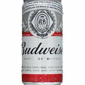 imagem do produto BUDWEISER