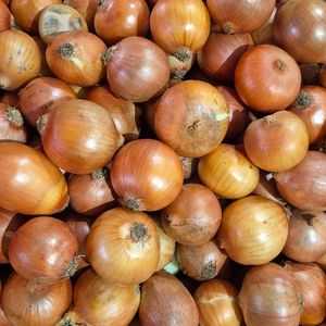 imagem do produto Cebola