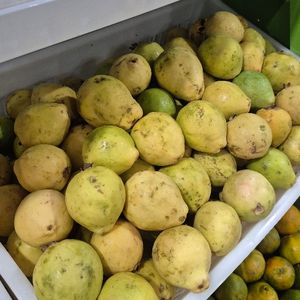 imagem do produto Goiaba