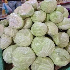imagem do produto Repolho branco