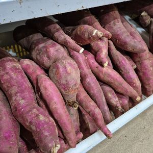 imagem do produto Batata doce