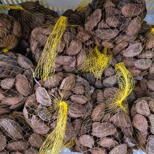 imagem do produto Castanha do para 500g