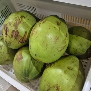 imagem do produto Coco verde (unidade)