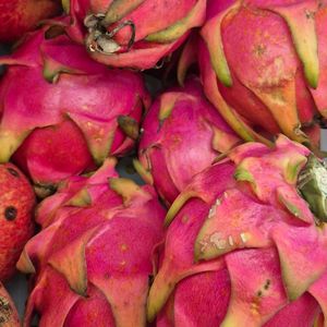 imagem do produto Pitaya