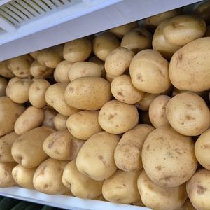 imagem do produto Batata inglesa
