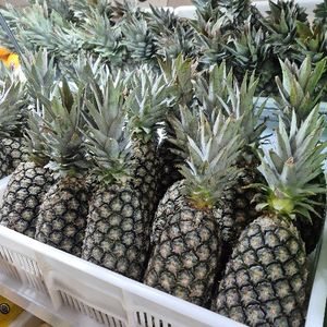 imagem do produto Abacaxi (unidade)