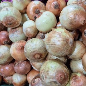 imagem do produto Cebola cocão