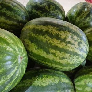 imagem do produto Melancia (unidade)