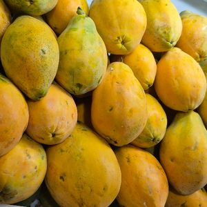 imagem do produto Mamão papaia