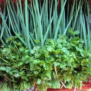 imagem do produto Cheiro verde (mói)