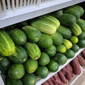 imagem do produto Pepino comum (unidade)