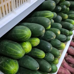 imagem do produto Pepino (unidade)