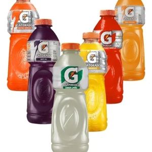 imagem do produto Gatorade
