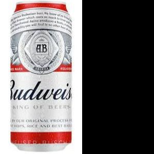 imagem do produto budweiserlata 473ml