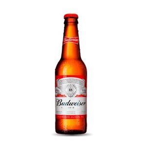 imagem do produto Budweiser Long Neck