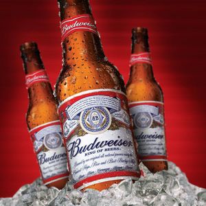 imagem do produto Budweiser