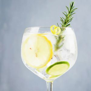 imagem do produto Gin Tônica