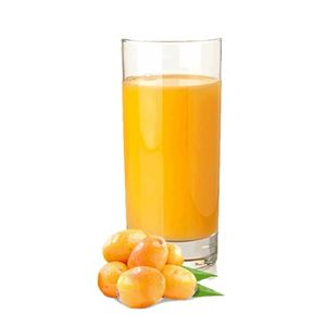 imagem do produto Suco da Fruta - 300ml
