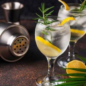 imagem do produto Gin Tônica Tradicional