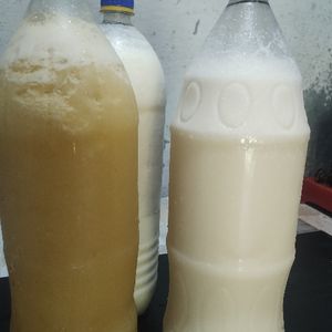 imagem do produto Garrafa de suco cupuaçu 2 litros