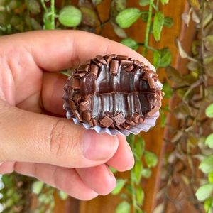 imagem do produto Brigadeiro tradicional 30g