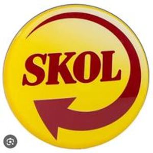 imagem do produto Cerveja skol