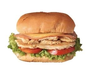 imagem do produto Especial de Frango