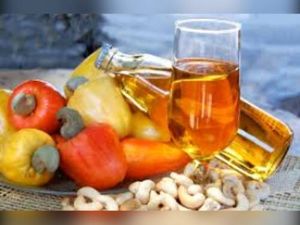 imagem do produto Cajuína caseira 1l