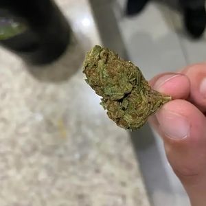 imagem do produto Gorila green 1G