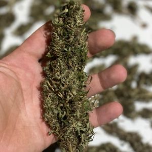 imagem do produto Onda astral 1G