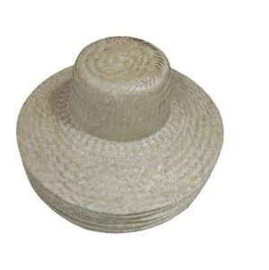 imagem do produto CHAPÉUS DE PALHA ABA 10.
