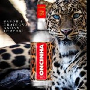 imagem do produto BEB.CACHAÇA ONCINHA (G)