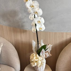 imagem do produto Arranjo Orquídea