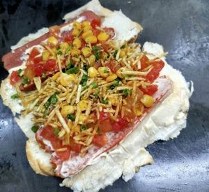 imagem do produto Brothers Dog Junior