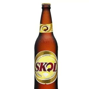 imagem do produto Skol 600 ML
